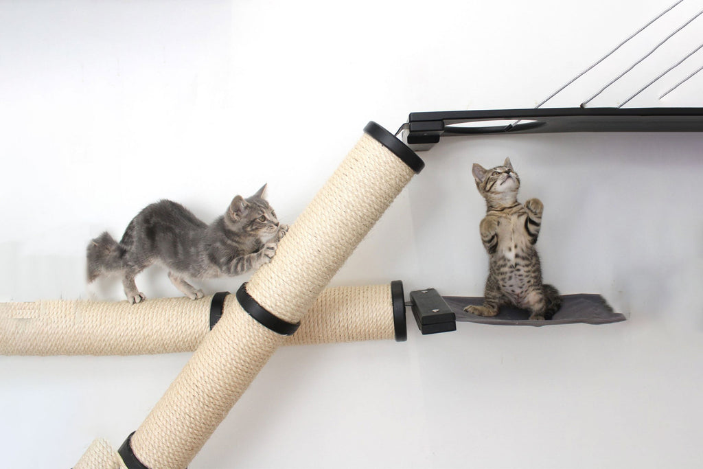 The Crossroads - Cat Wall Scratcher - Tree with Ramp by Catastrophic Creations