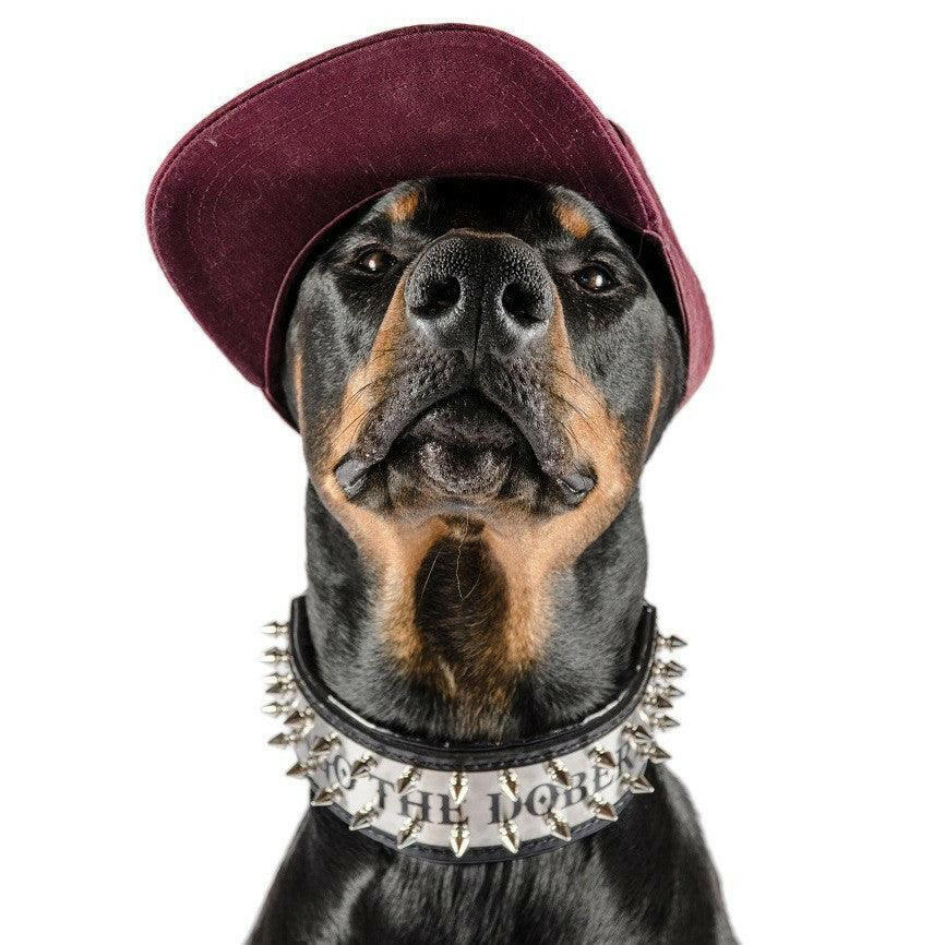 The "Metal" collar- personalized! by Bestia Dog Gear