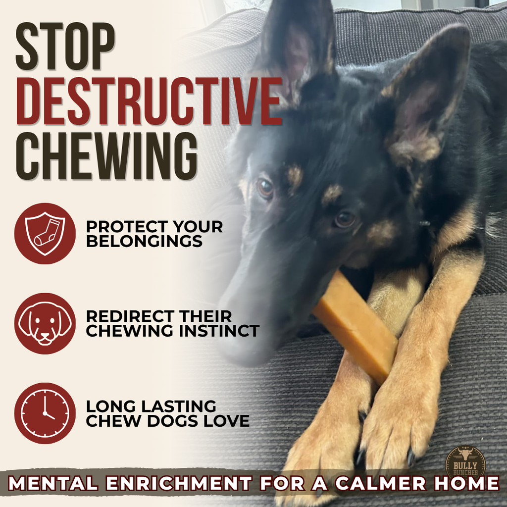 Himalayan Yak Chew (EXTRA LARGE) by Bully Bunches