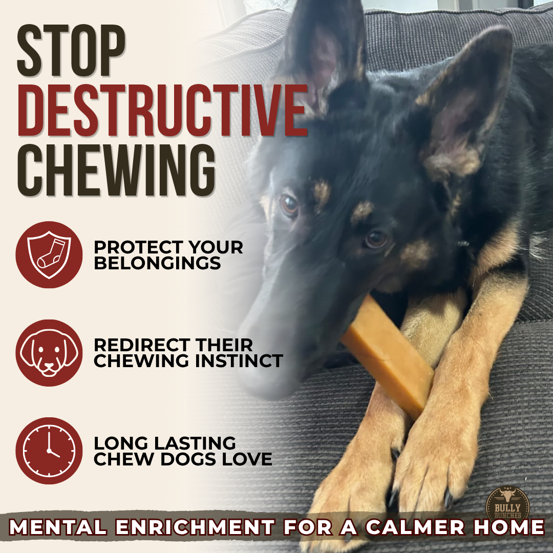 Himalayan Yak Chew (EXTRA LARGE) by Bully Bunches