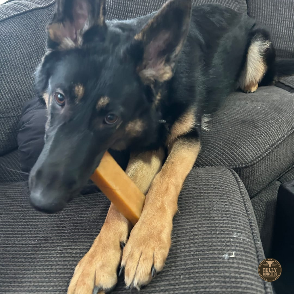 Himalayan Yak Chew (EXTRA LARGE) by Bully Bunches