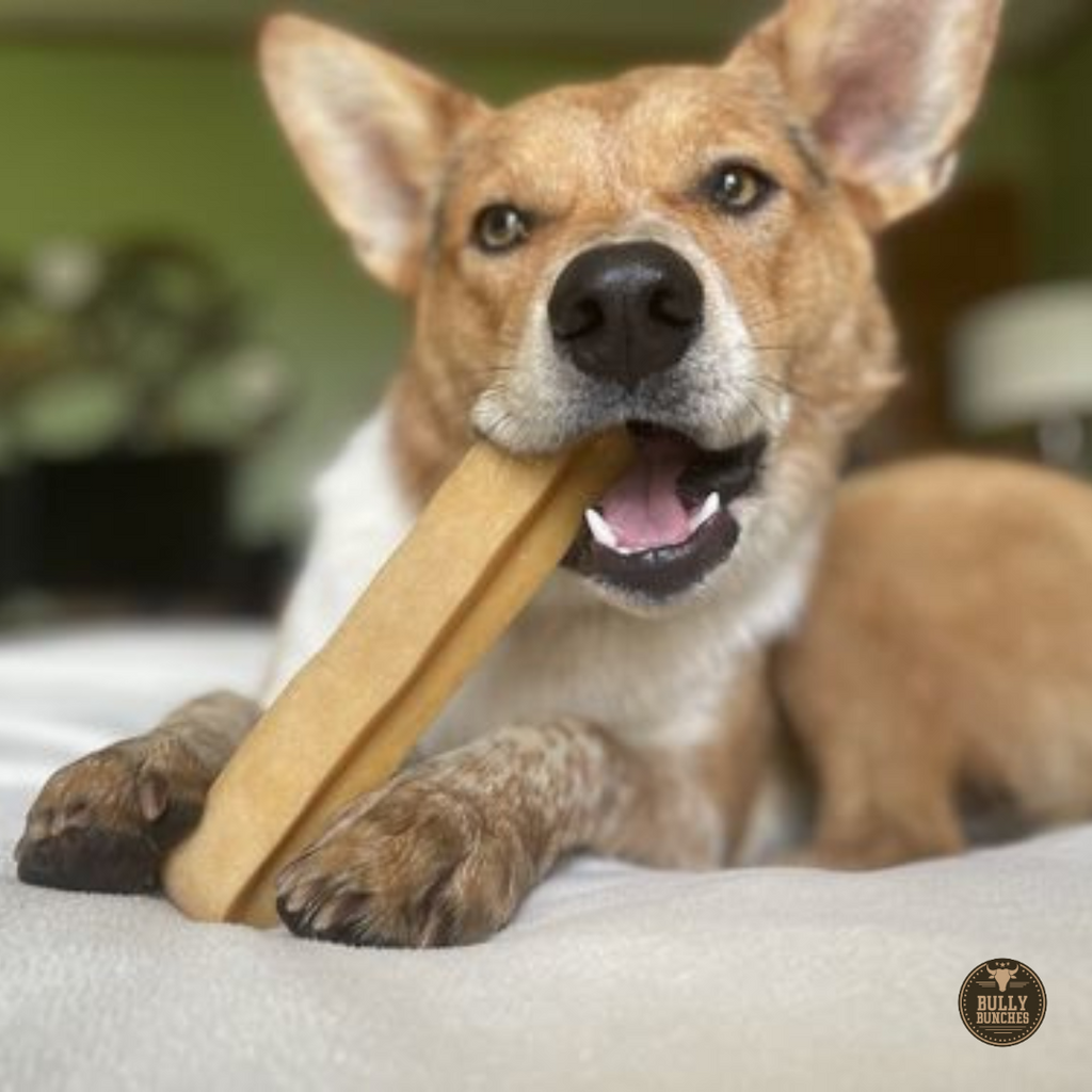 Himalayan Yak Chew (EXTRA LARGE) by Bully Bunches