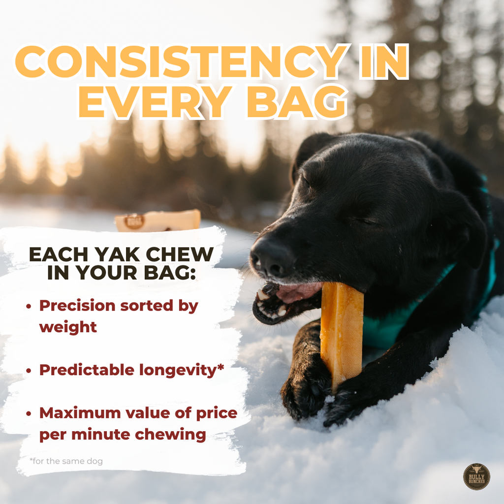 Himalayan Yak Chew (SMALL) by Bully Bunches