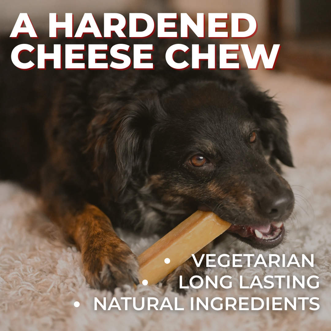 Himalayan Yak Chew (SMALL) by Bully Bunches