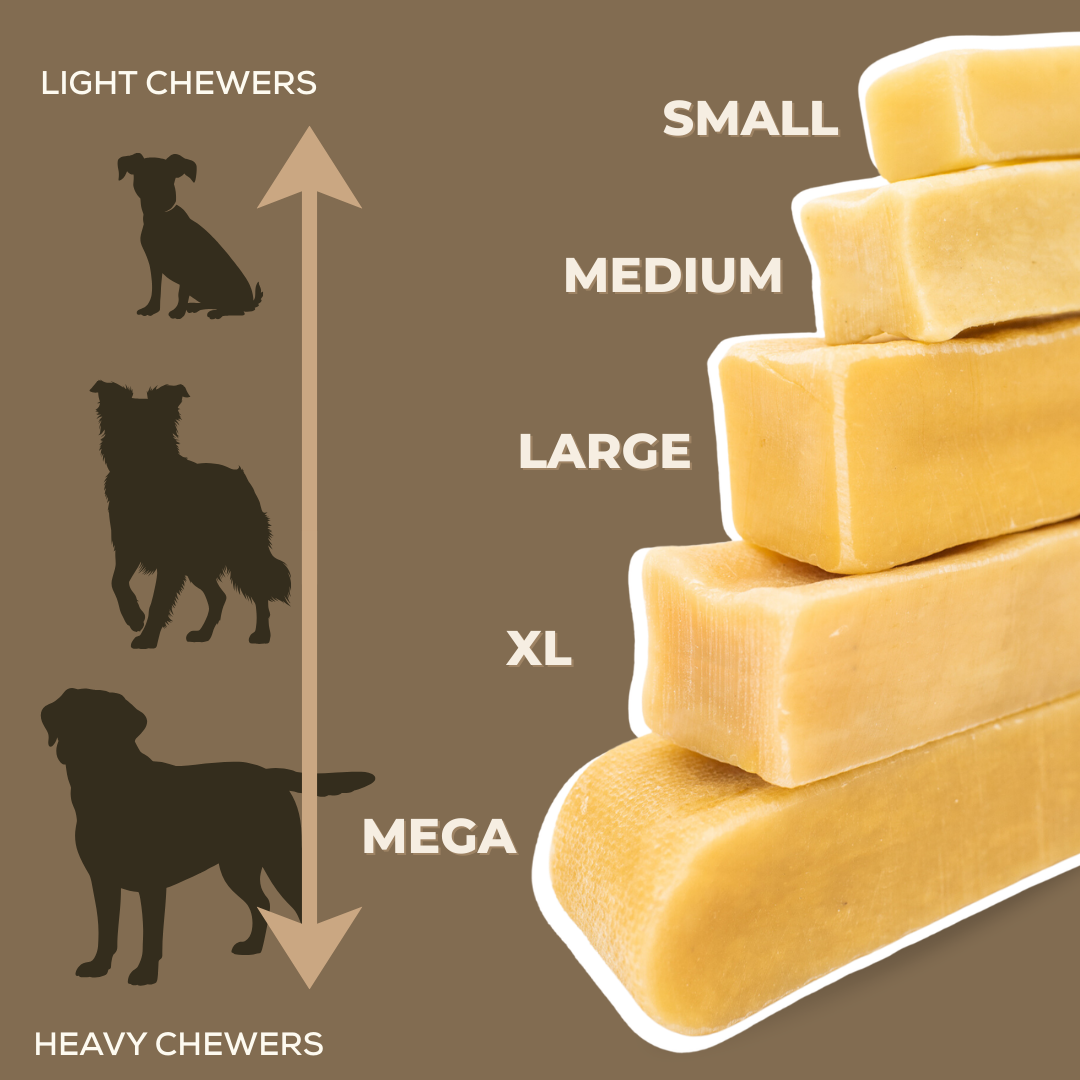 Himalayan Yak Chew Flavor Pack by Bully Bunches