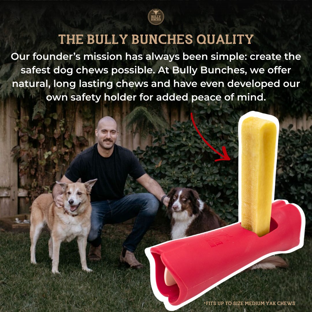 Blueberry Himalayan Yak Chew (MEDIUM) by Bully Bunches