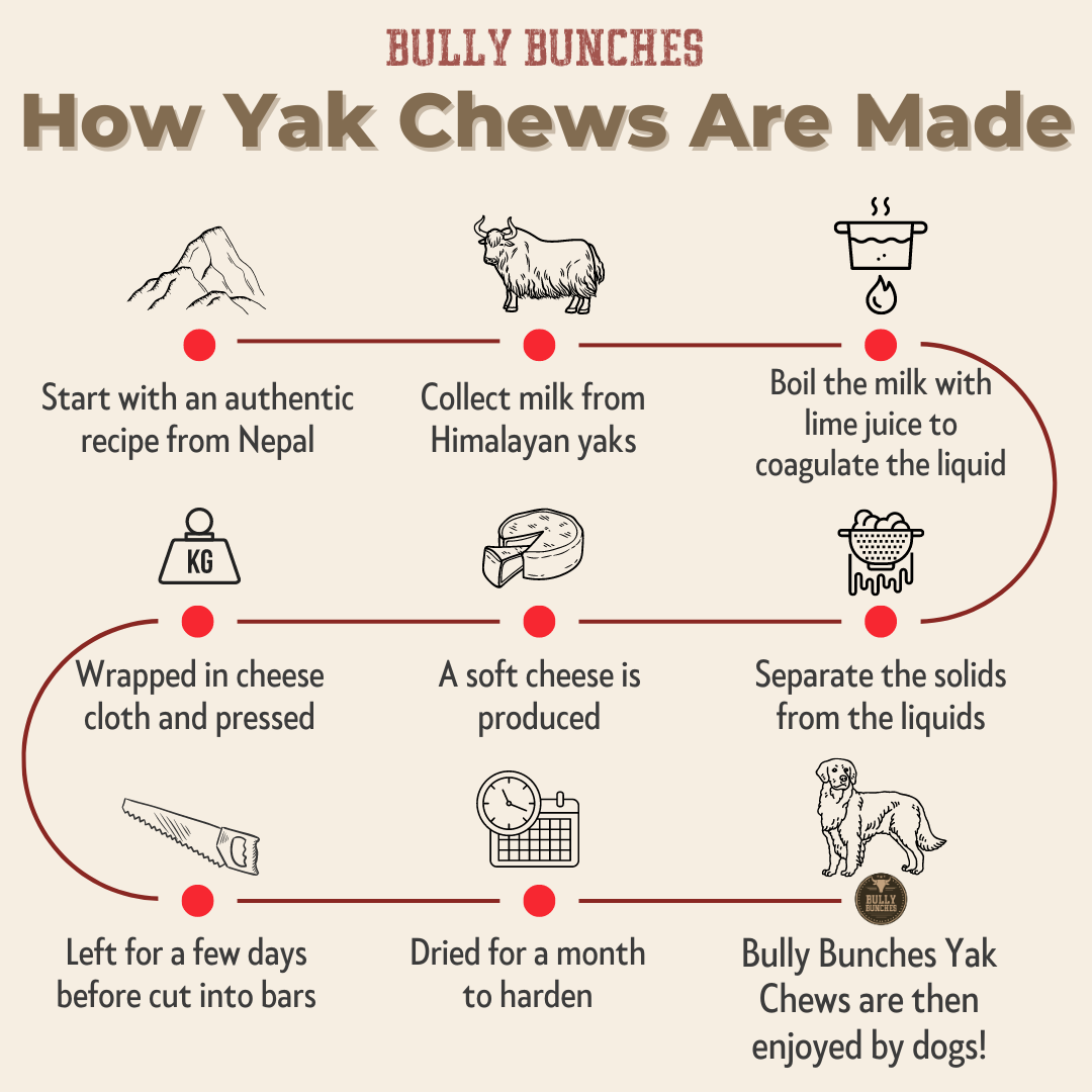 Himalayan Yak Chew (MEGA) by Bully Bunches