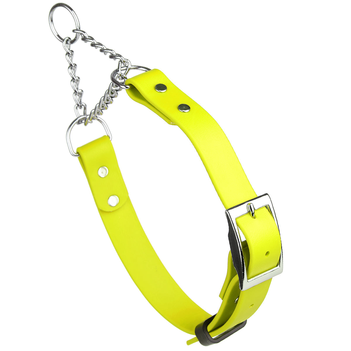 Biothane Adjustable Martingale Collar with Metal Buckle by Dogline