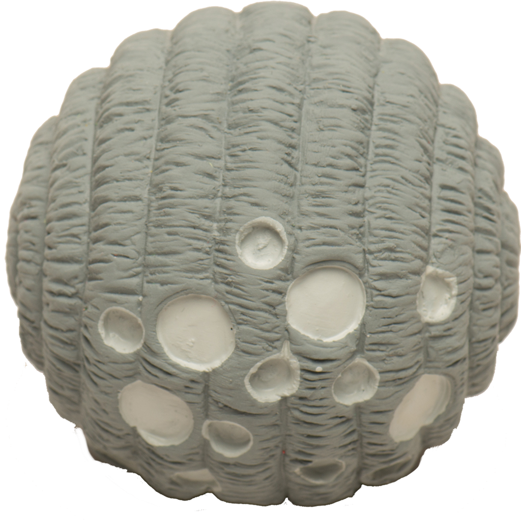 Luna Ruff-Tex® Latex Ball Dog Toy, Large by HuggleHounds