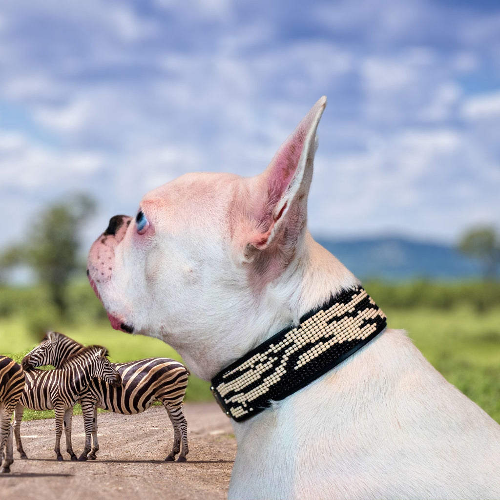 Zebra Sambboho dog collar (animal print collection) by Sambboho